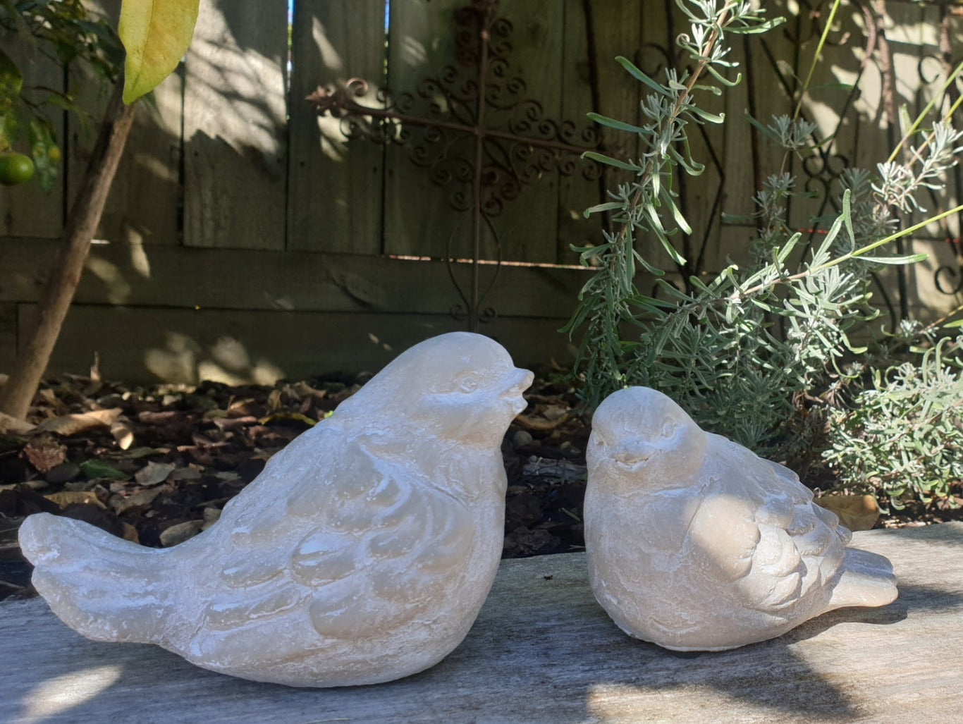 Concrete Sparrows