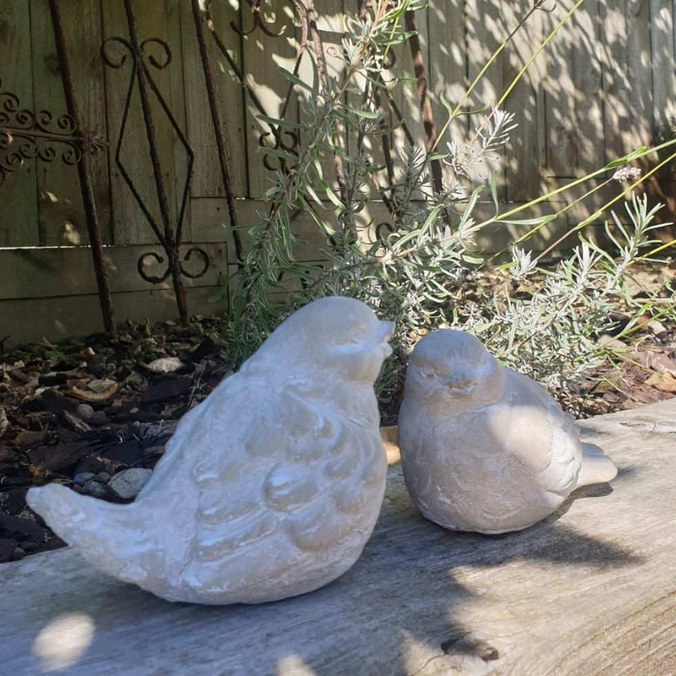 Concrete Sparrows