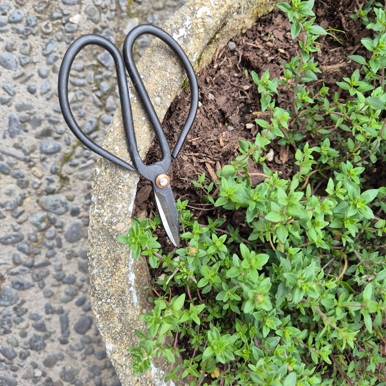 Mini Iron Shears