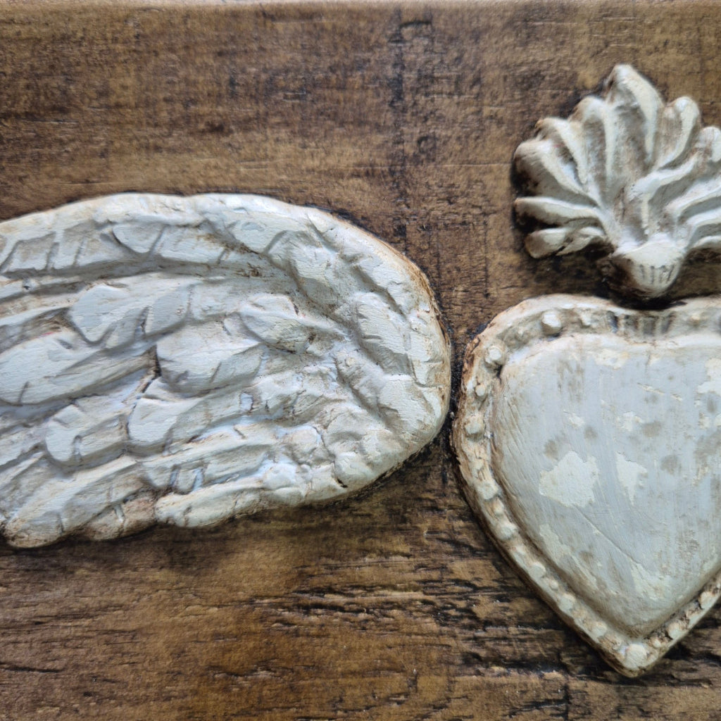 Close Up angel wings