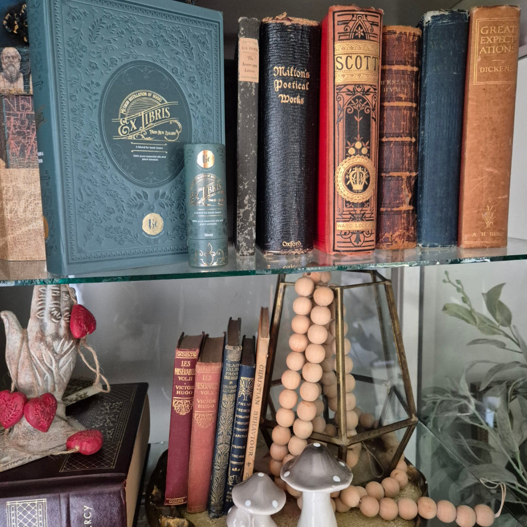 Stack of vintage books with decorative items on a shelf