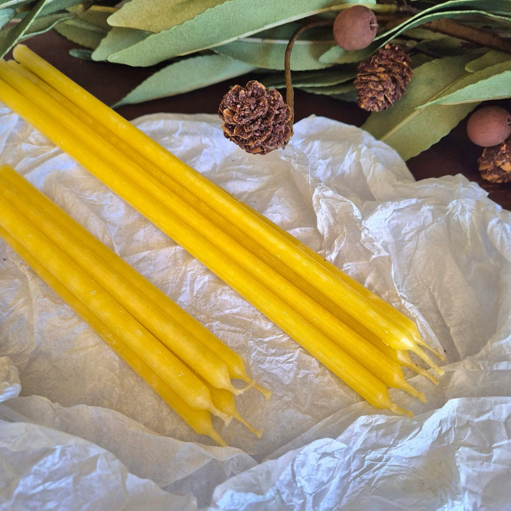 Florist Taper Candles Beeswax tall and short