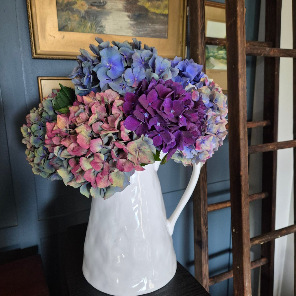 Primitive White Jug with Hydrangeas