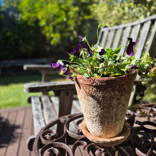 Red Weathered Planter Pot