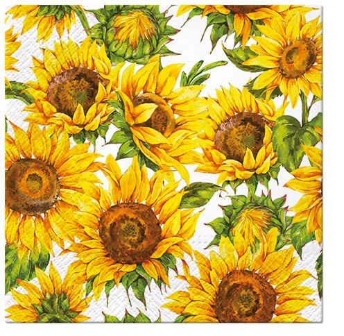 Paper Napkins