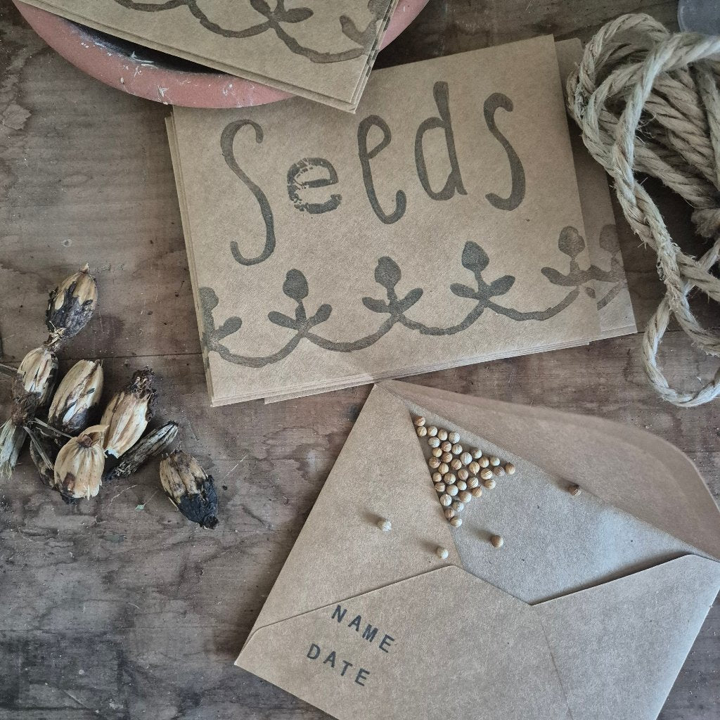 Seed Storage Envelope