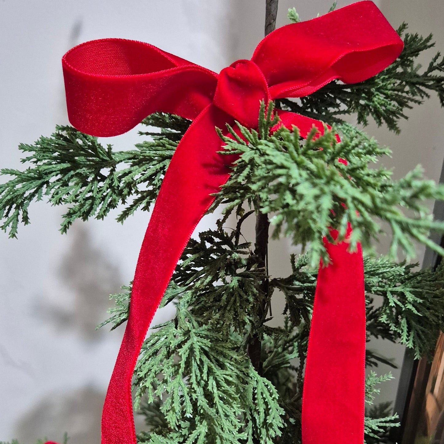 Red Wide Velvet Ribbon