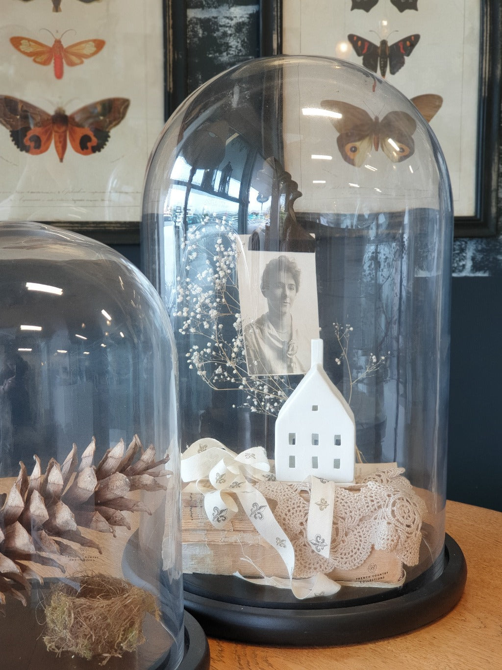 Glass Cloche Dome with Base