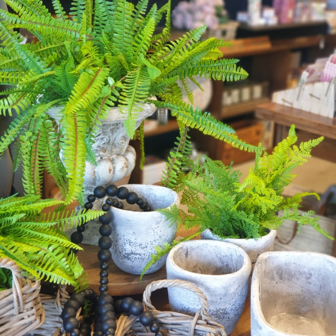 Cement Pot