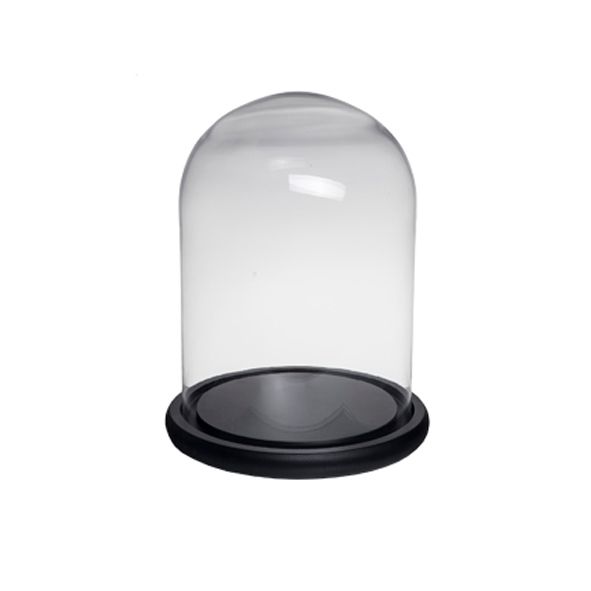 Glass Cloche Dome with Base