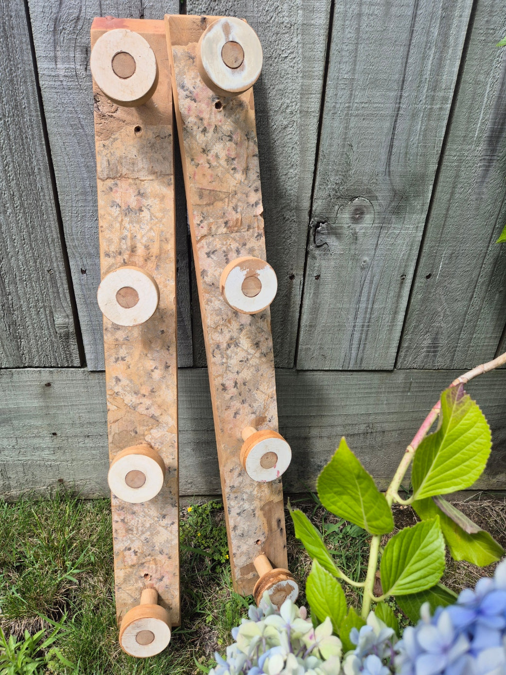 Reclaimed Rimu Coat Hook 4 Hanger