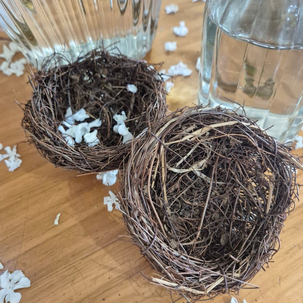 Mini Birds Nest