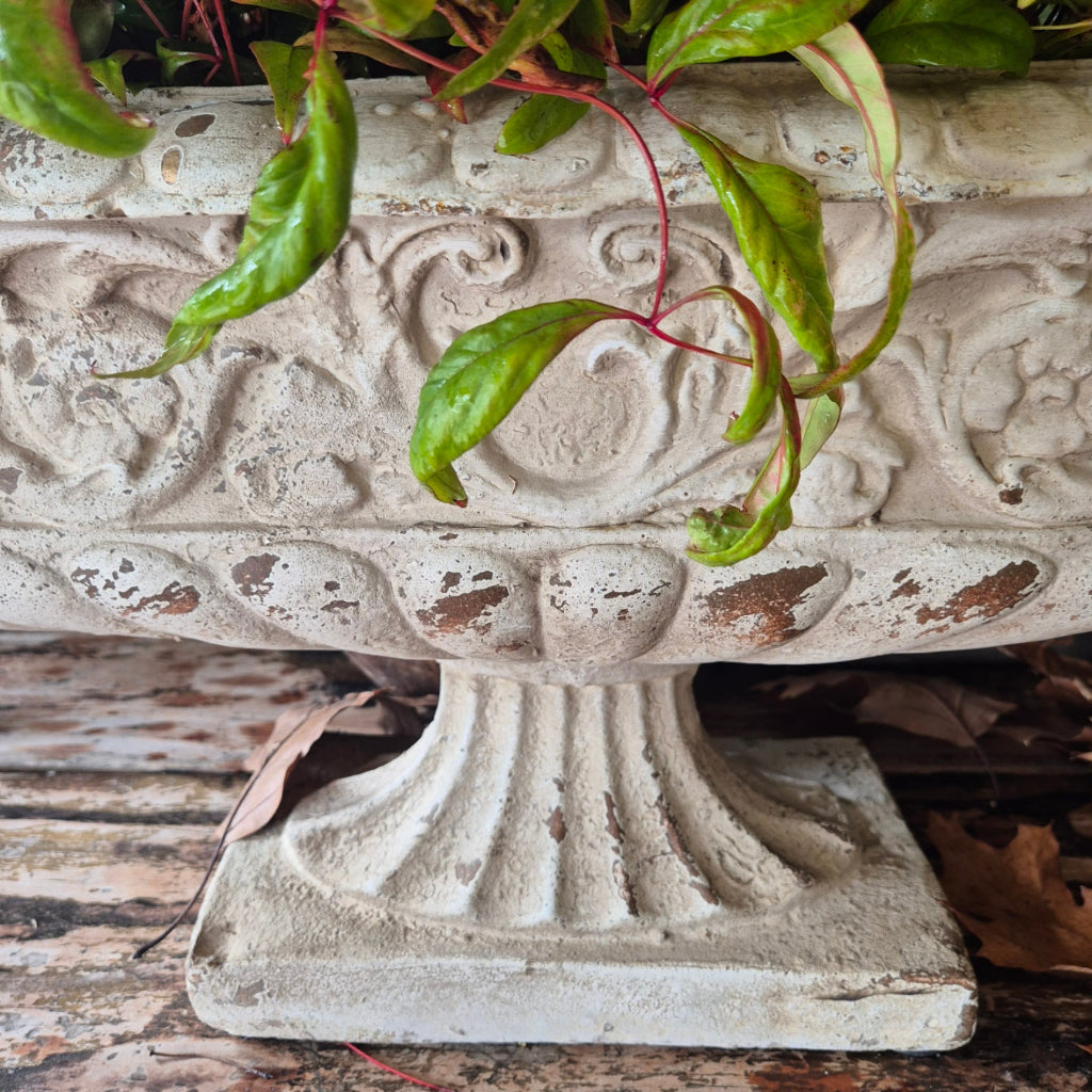 Close Up Pedestal Vase
