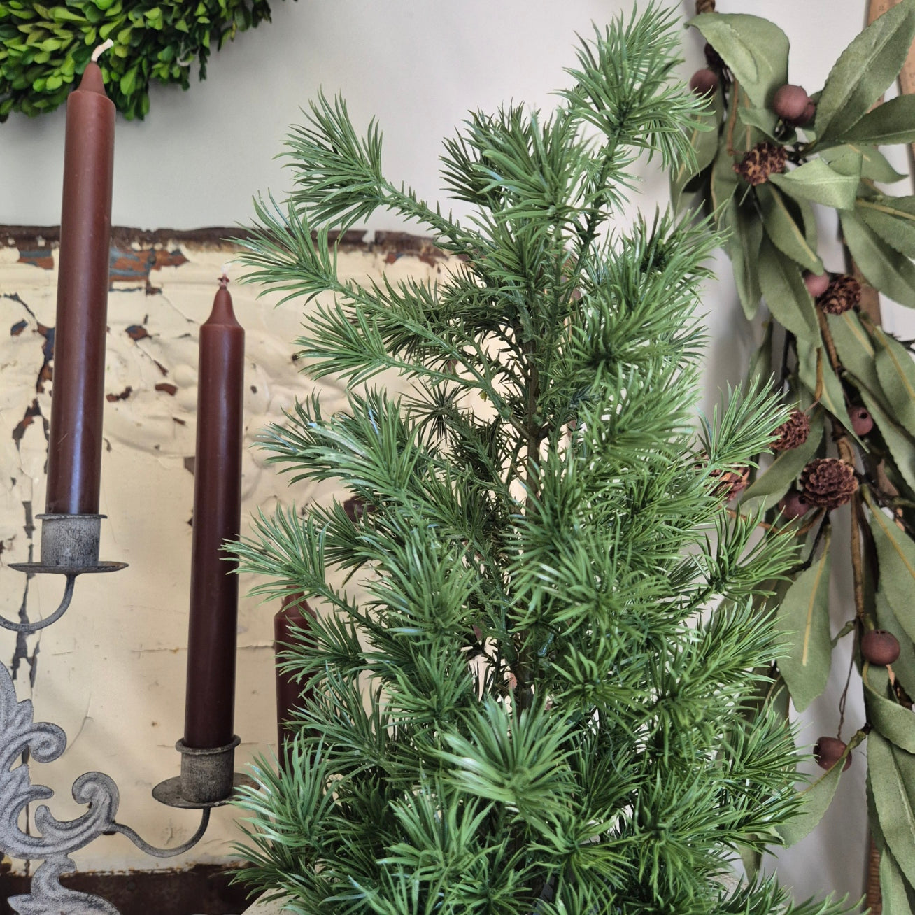 Close up mini christmas tree