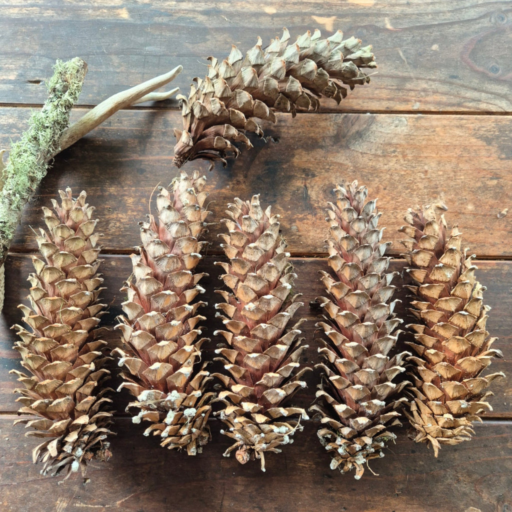 Stack of pinecones on a wooden surface