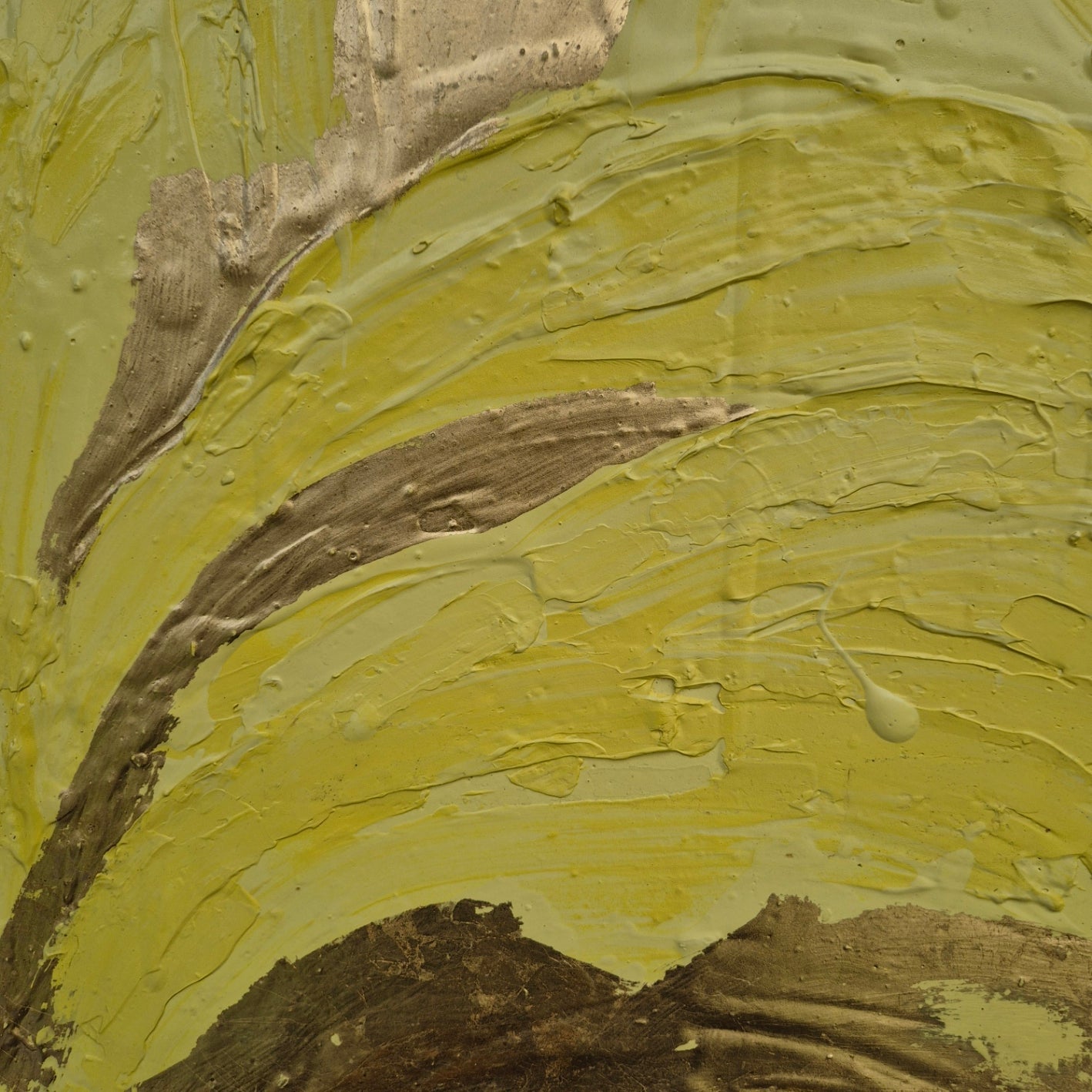 Close-up of textured yellow and brown surface