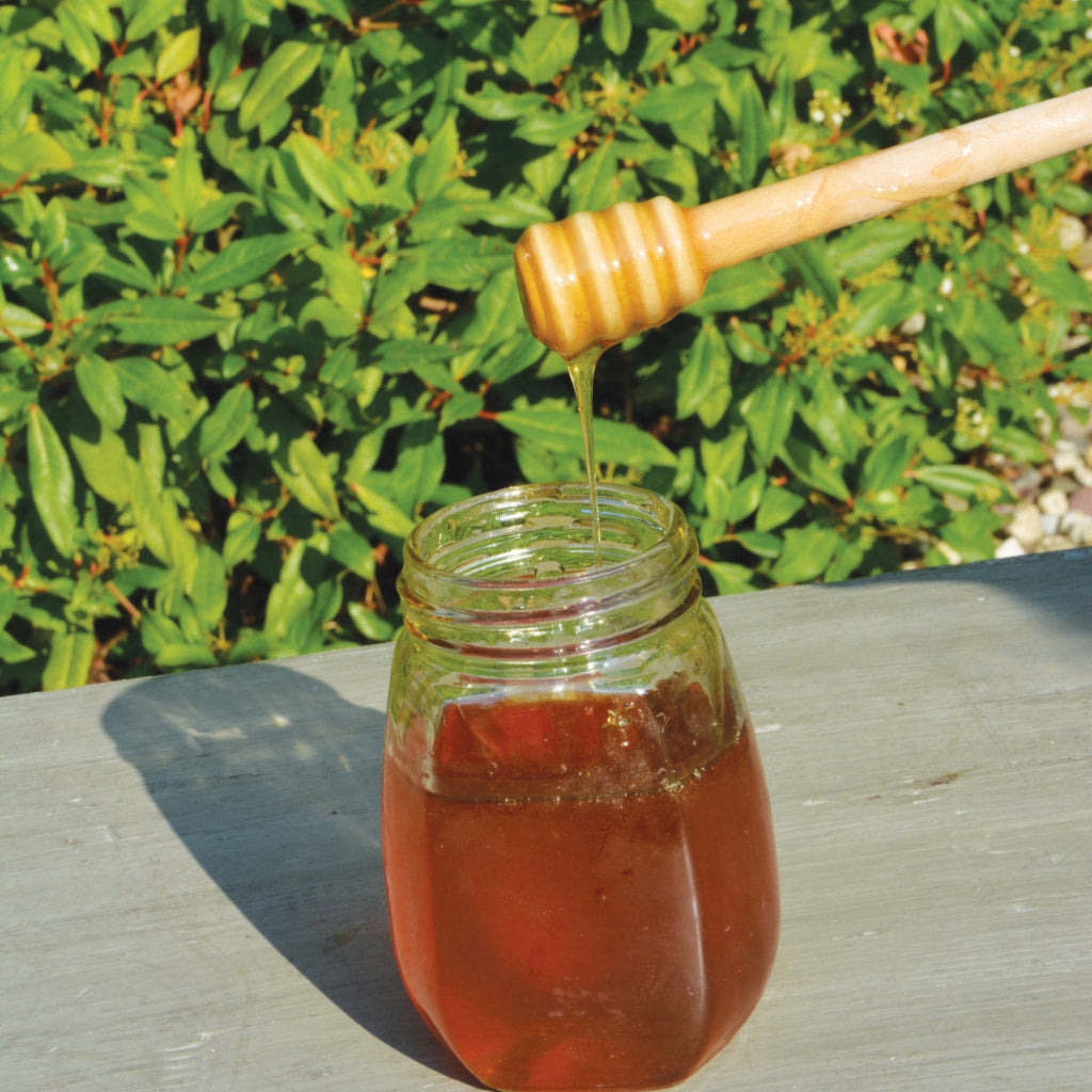 Wooden Honey Dipper