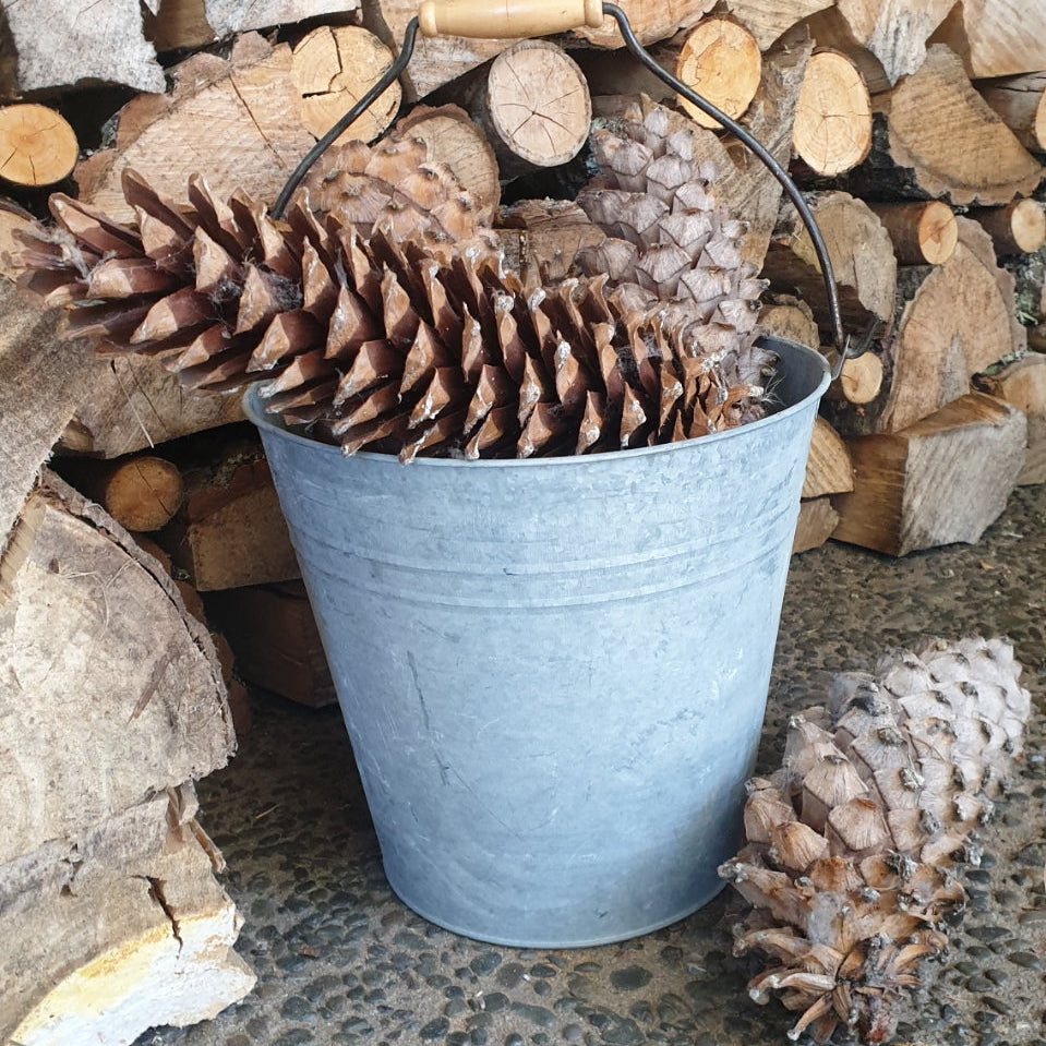 Blue bucket filled with pinecones on a pile of firewood.