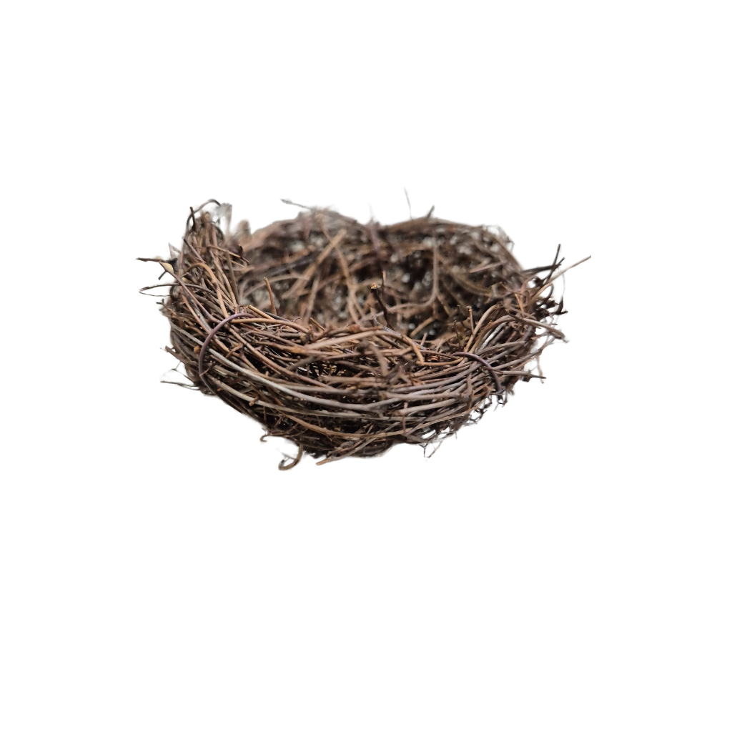 Mini Twigg Birds Nest