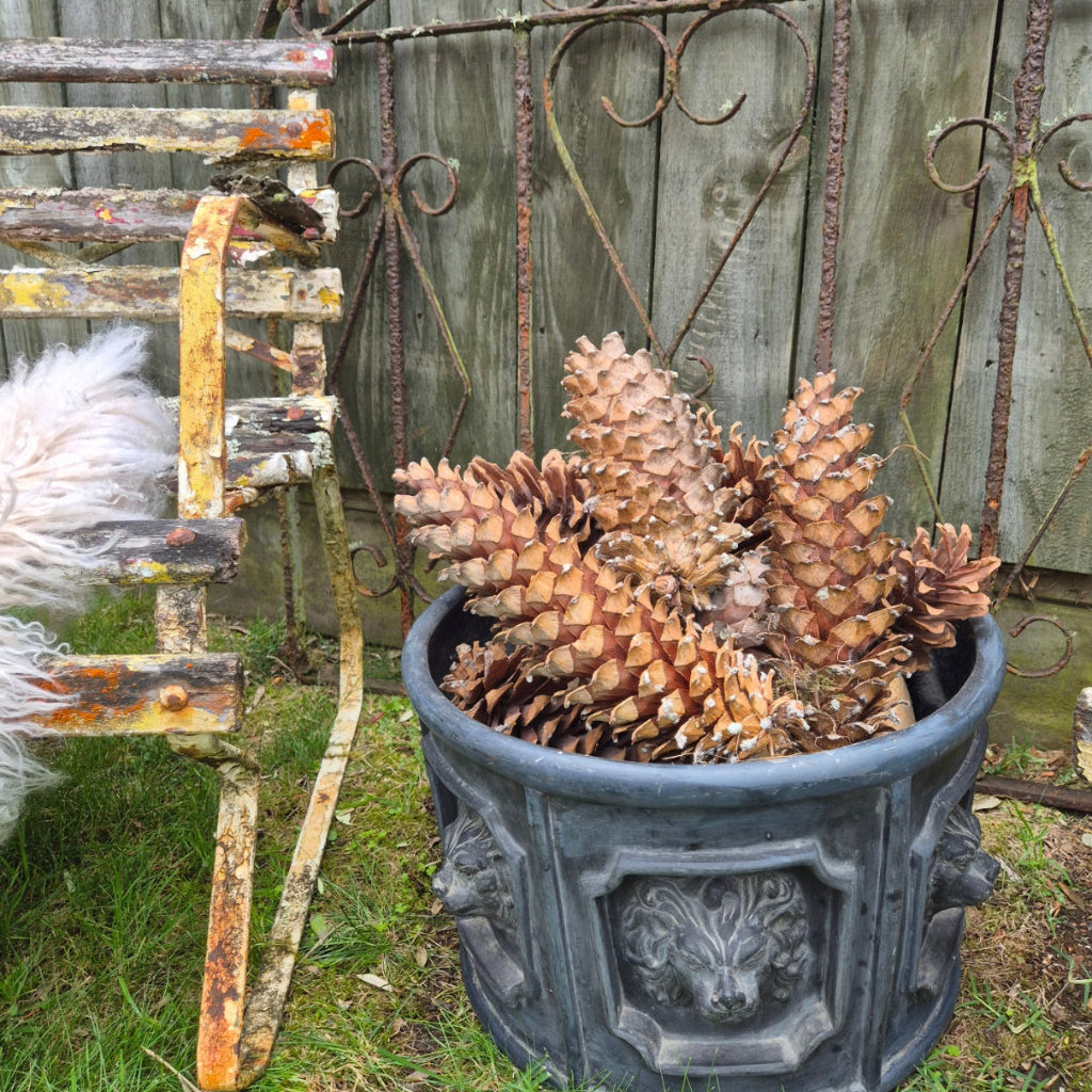 Decorative planter with pinecones against a rustic metal gate background