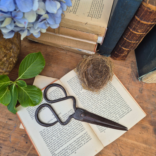Open book with a bird's nest, scissors, and flowers on a wooden surface