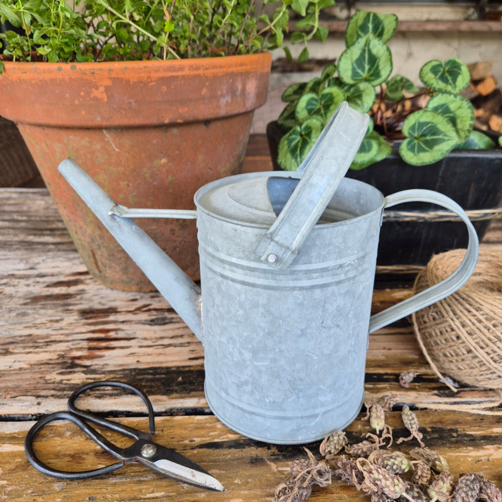 Small Zinc Watering Can