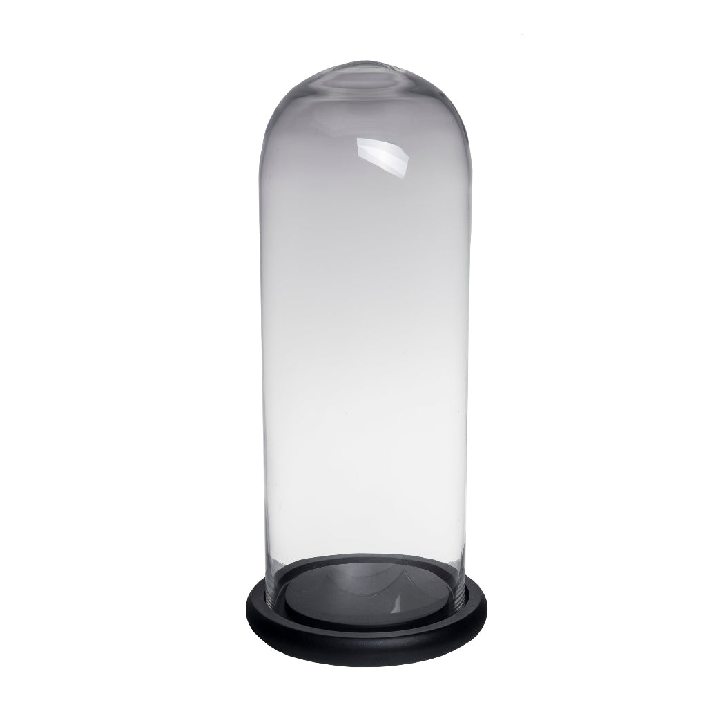 Clear glass dome with black base on a white background