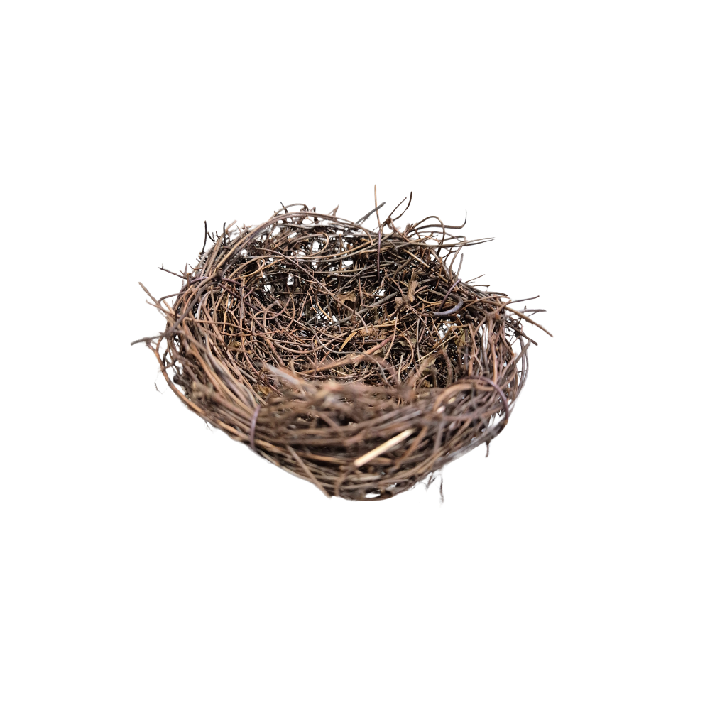 Twigg Birds Nest