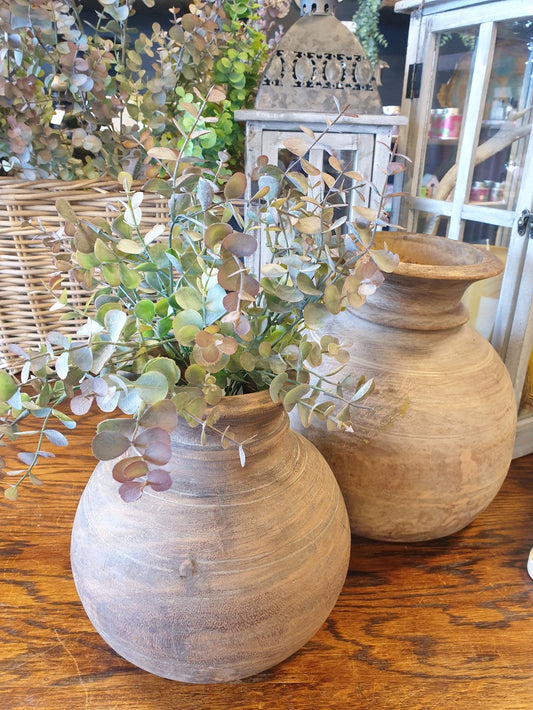 Mini Eucalyptus Bush