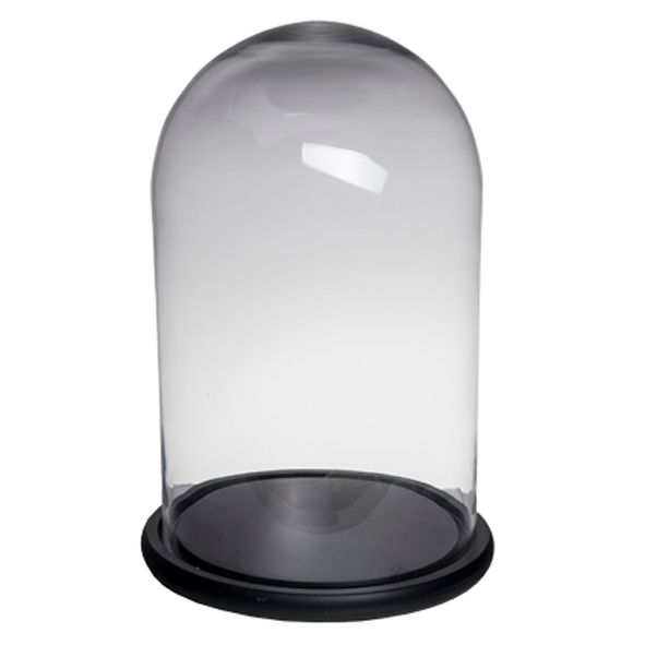 Large Glass Cloche