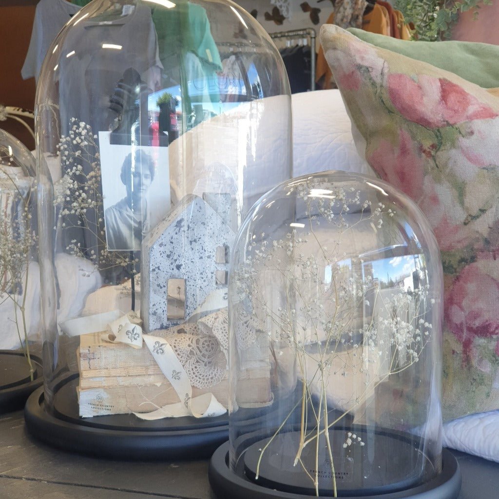 Glass dome cloche