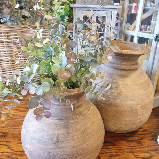 Mini Eucalyptus Bush